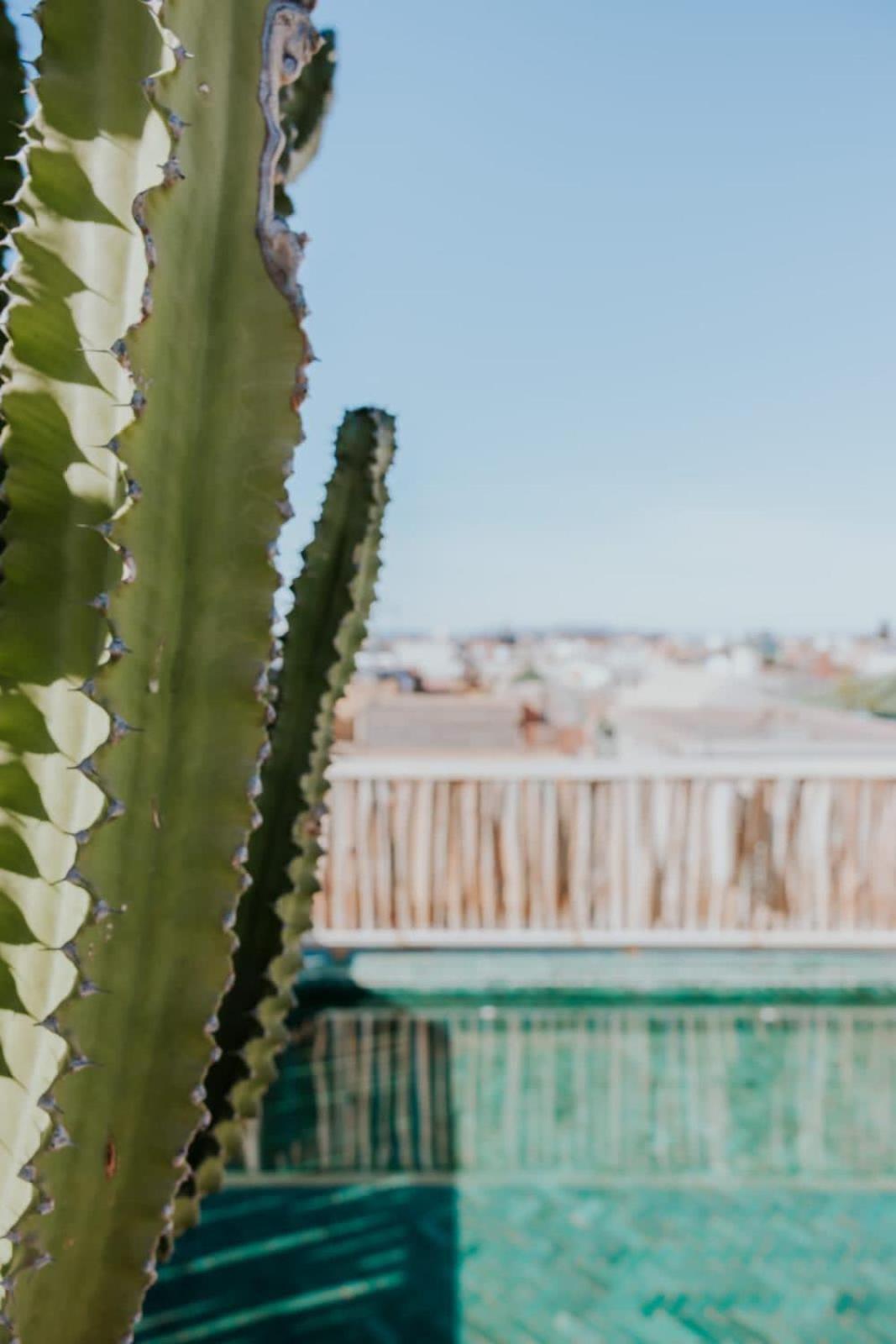 Nelia Marrakech, Collection Bed and breakfast *