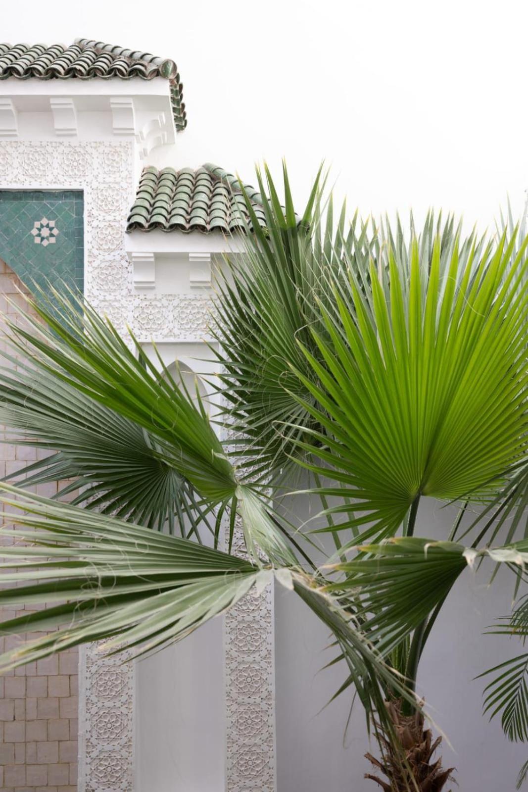 Bed and breakfast Nelia Marrakech, Collection Marrakesh